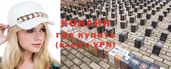 МДПВ Инта